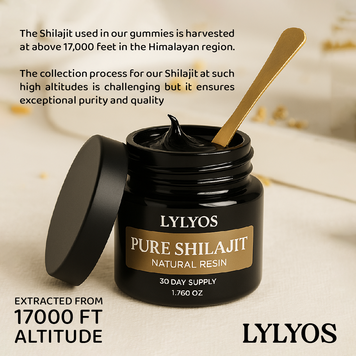 Pure Shilajit Natural Resin