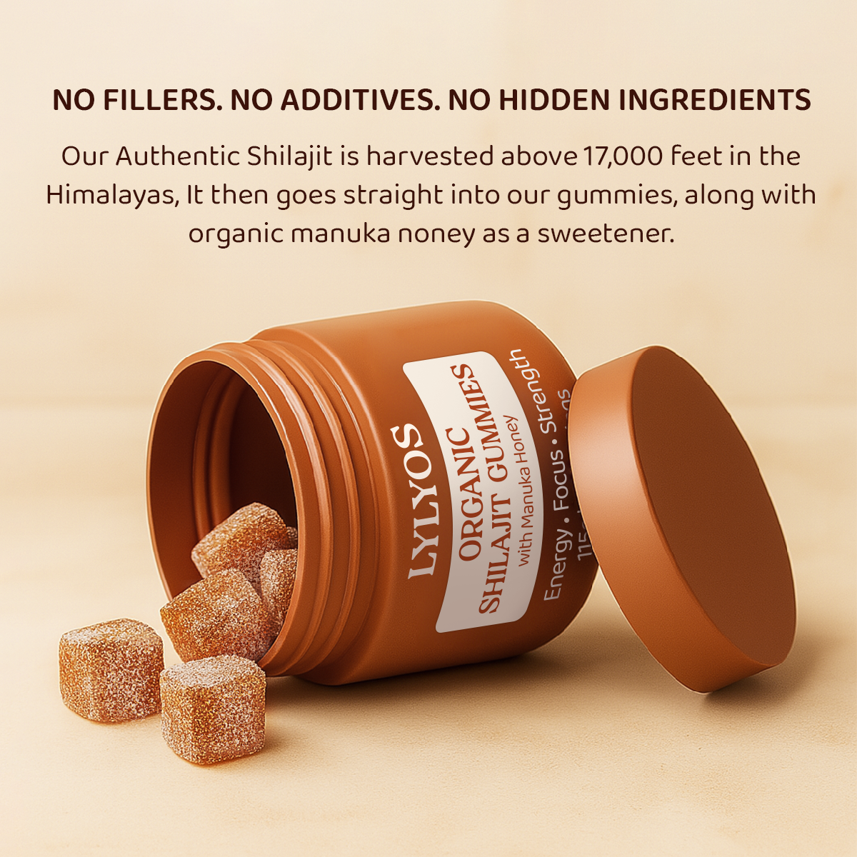 Organic Shilajit Daily Gummies