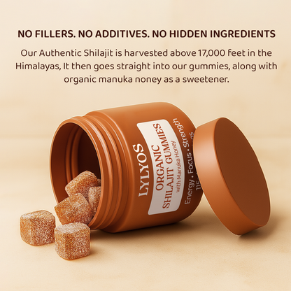 Organic Shilajit Daily Gummies
